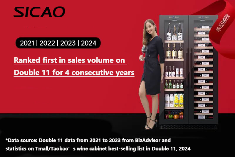 งานฉลองครบรอบ 20 ปี SICAO